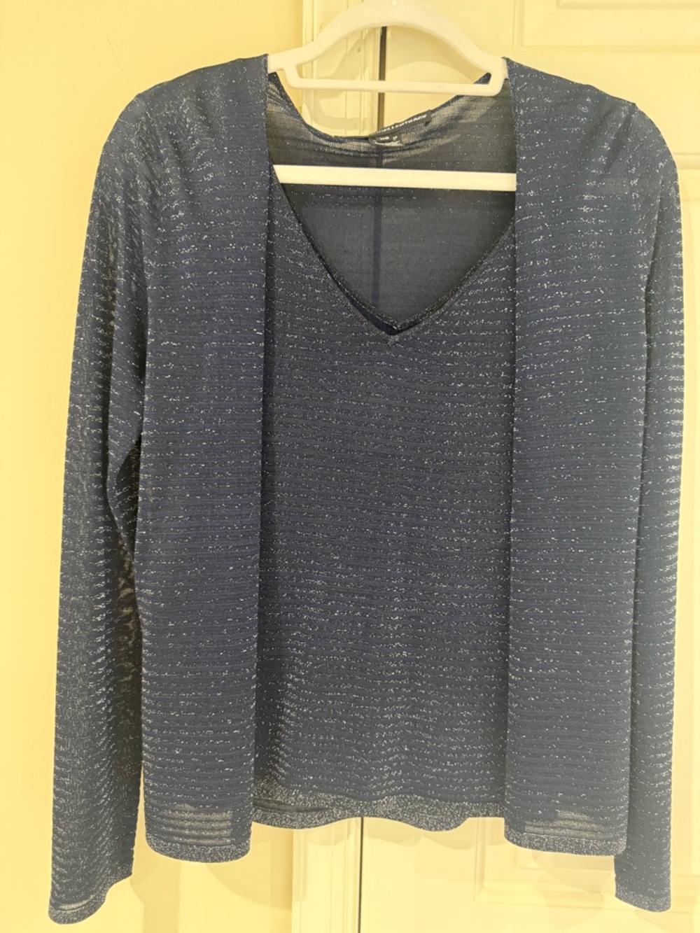 Women’s Navy Sparkle V-Neck Long-Sleeve Sweater